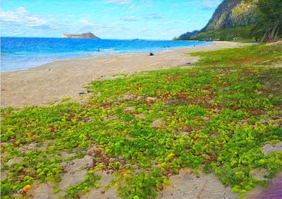 Rob Kajiwara - Morning Glory at Waimanalo Beach - Art of Hawaii