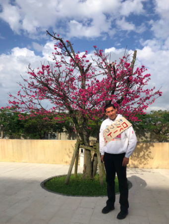 Robert Kajiwara, Okinawa politics campaign, cherry blossoms.