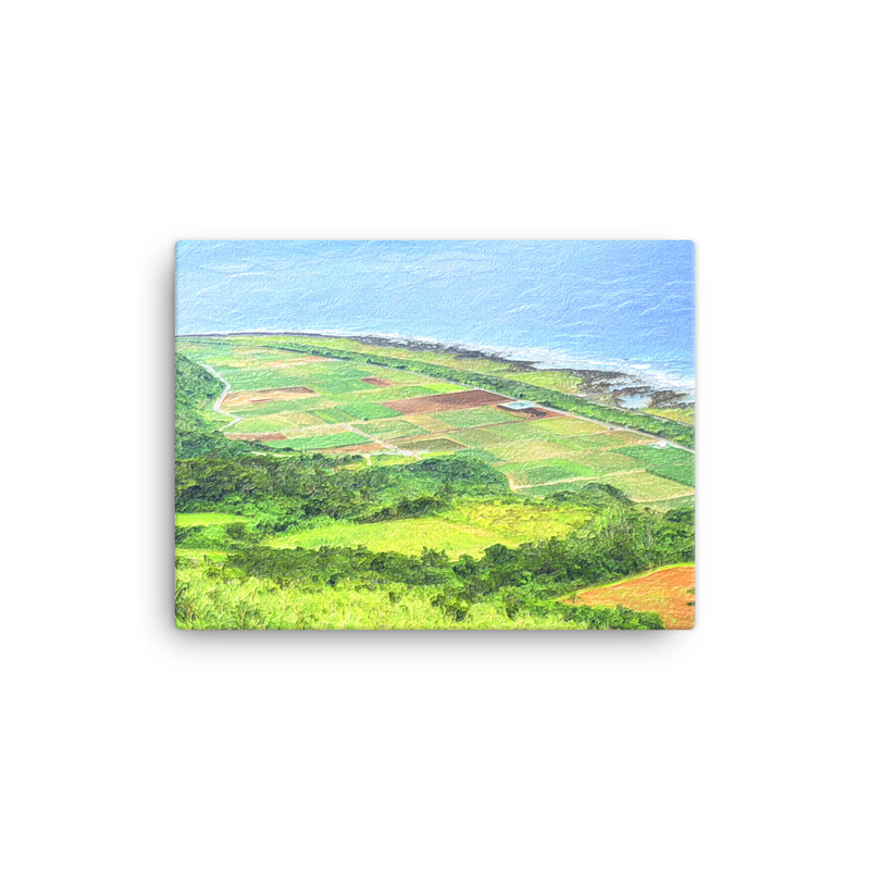Fields of Kumi Shima (Kume Jima) - Views of Ryukyu / Okinawa - Canvas 12" x 16"