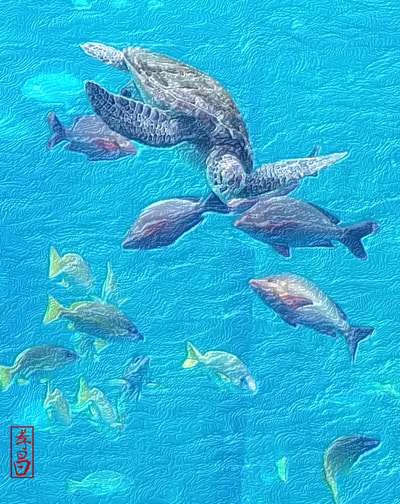 Rob Kajiwara - Turtle and Fish - Art of Okinawa / Asia