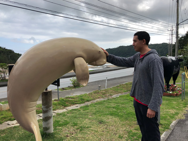 Rob Kajiwara Okinawa dugong